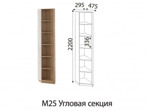 М25 Угловая секция в Нижневартовске - nizhnevartovsk.магазин96.com | фото