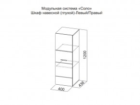 Шкаф навесной (глухой) Левый в Нижневартовске - nizhnevartovsk.магазин96.com | фото