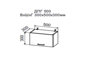 Шкаф верхний ДПГ500 горизонтальный в Нижневартовске - nizhnevartovsk.магазин96.com | фото