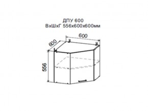 Шкаф верхний ДПУ600 угловой в Нижневартовске - nizhnevartovsk.магазин96.com | фото